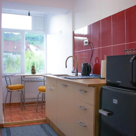 Vlad'S Downtown Apartment Petrila ภายนอก รูปภาพ