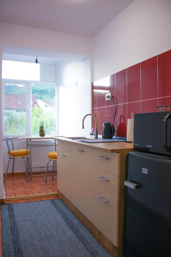 Vlad'S Downtown Apartment Petrila ภายนอก รูปภาพ