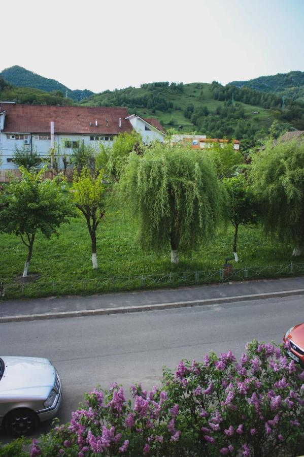 Vlad'S Downtown Apartment Petrila ภายนอก รูปภาพ